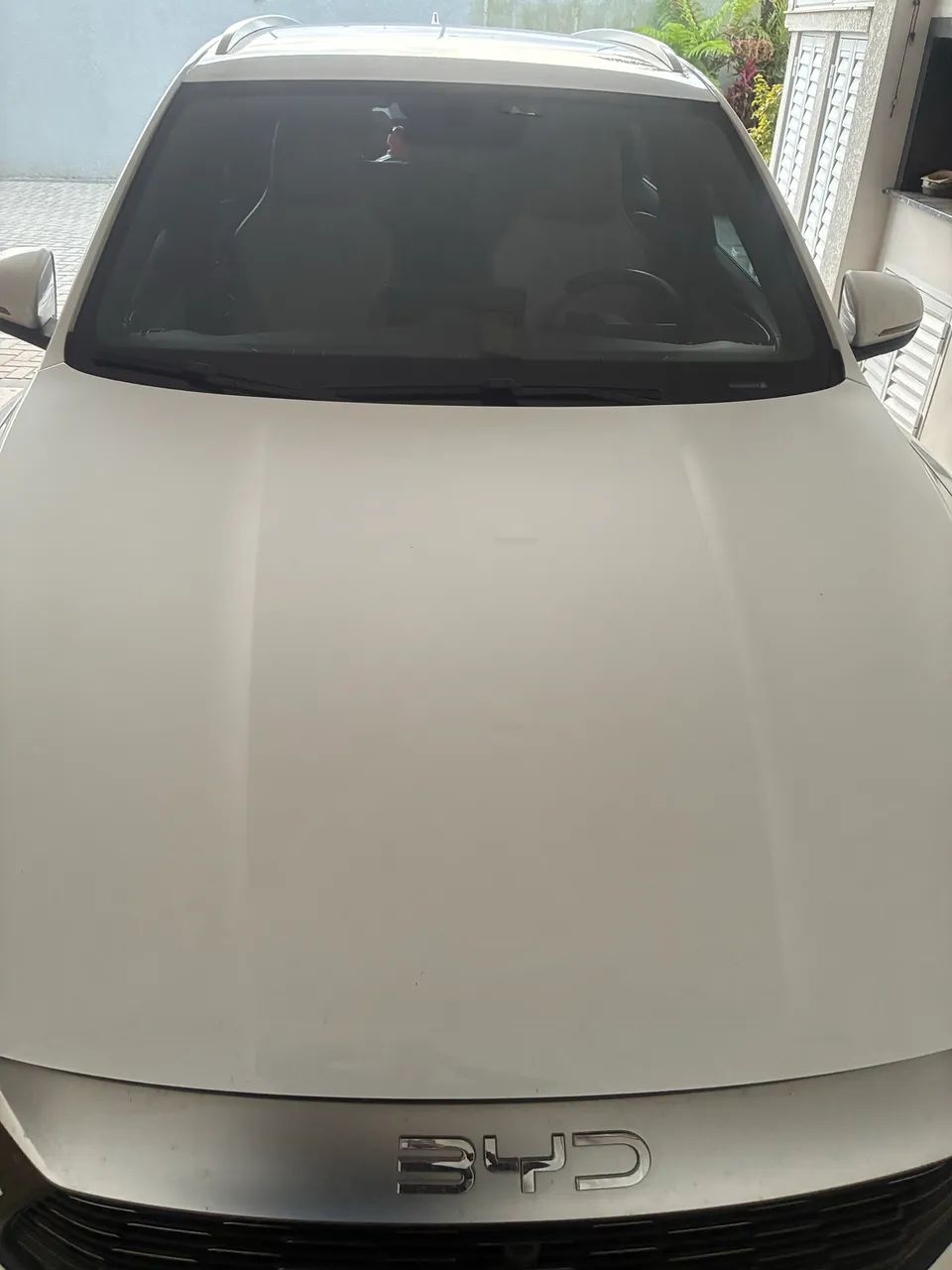 BYD BYD GS 1.5 16V Aut. (hibrido)