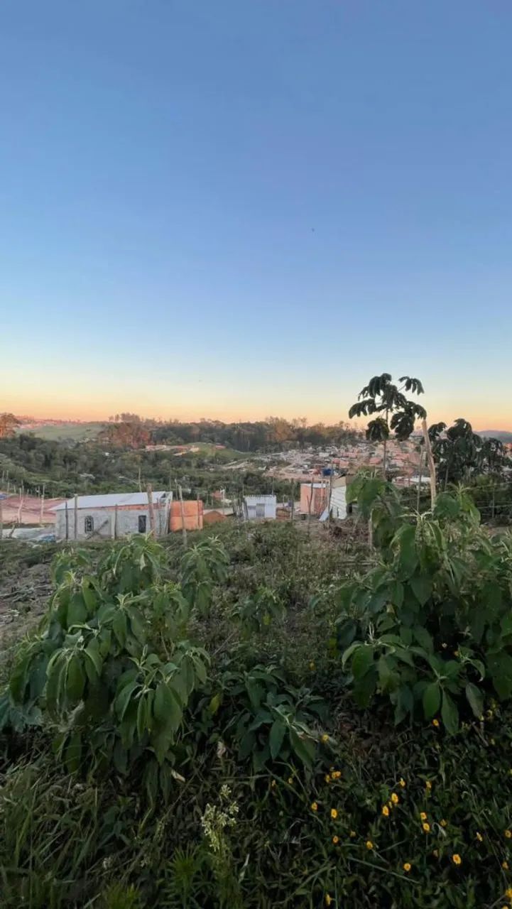 Terreno particular  - Foto 2