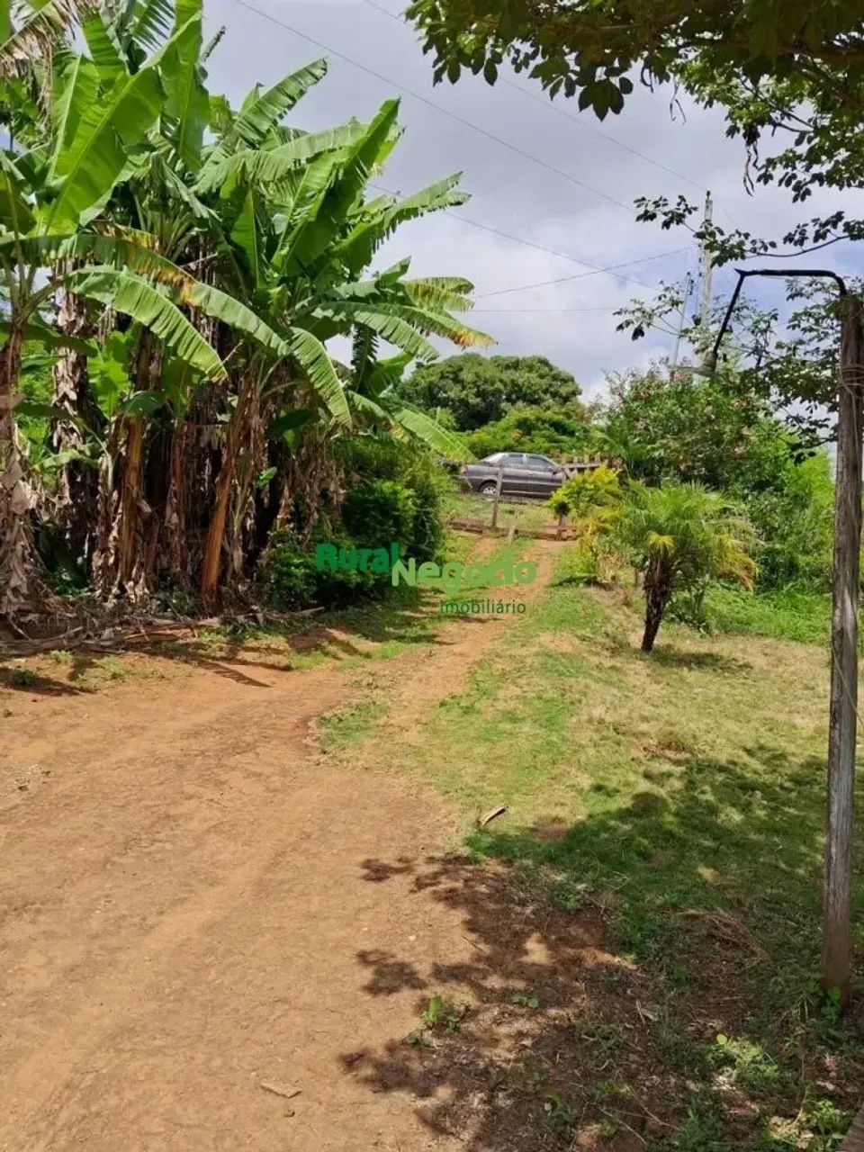 CHÁCARA FORMADA COM F ÁCIL ACESSO EM PIRANGUINHO-MG - Foto 2