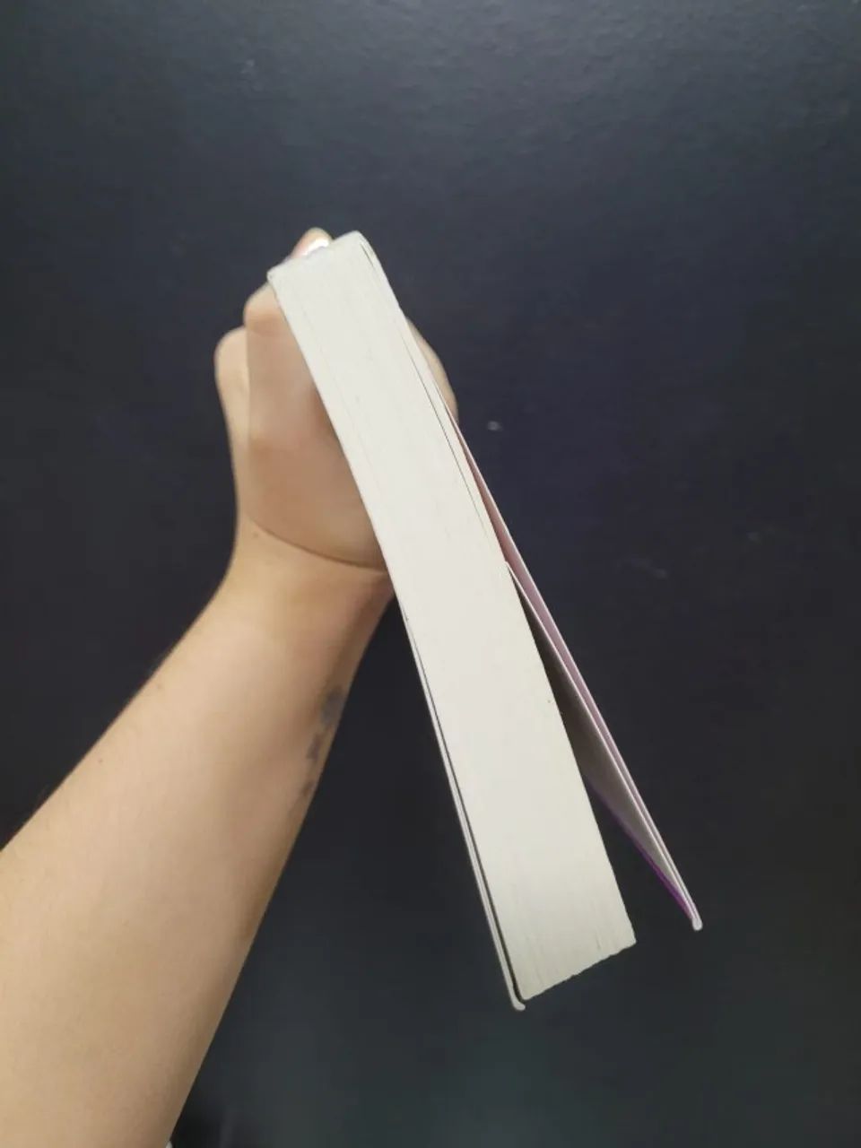 Livro Tash e Tostói - Kathryn Ormsbee - Foto 2