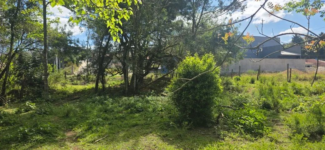 Terreno no centro de Contenda com 4193m2 - Foto 4