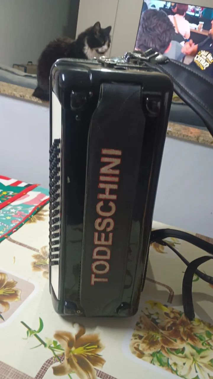 Acordeon 