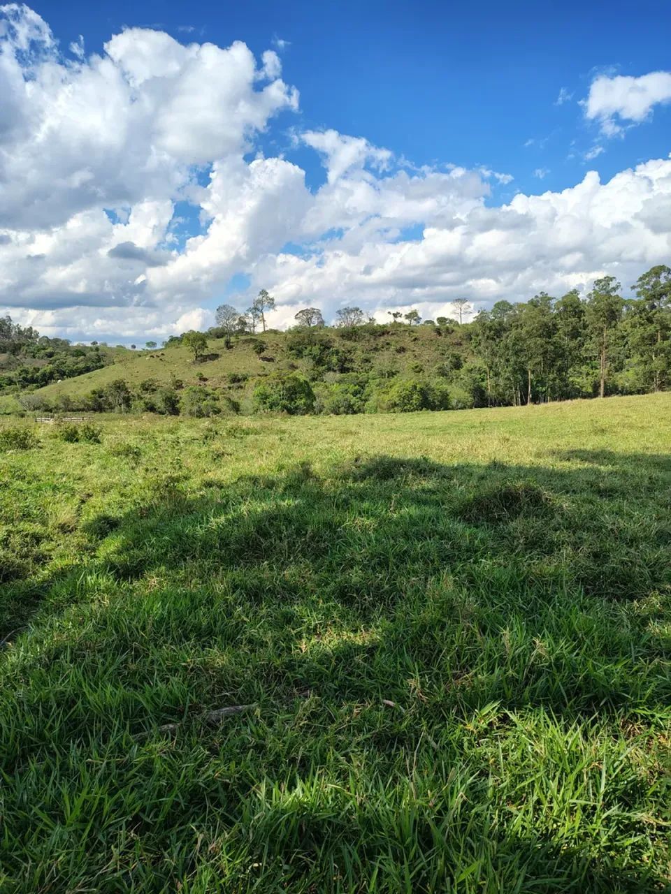 Sítio muito bom - Foto 5