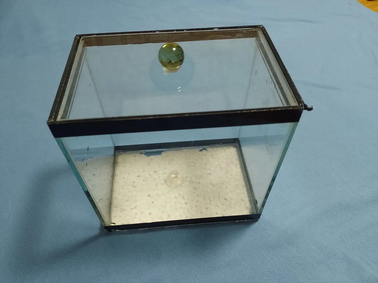 Aquarios - Foto 4