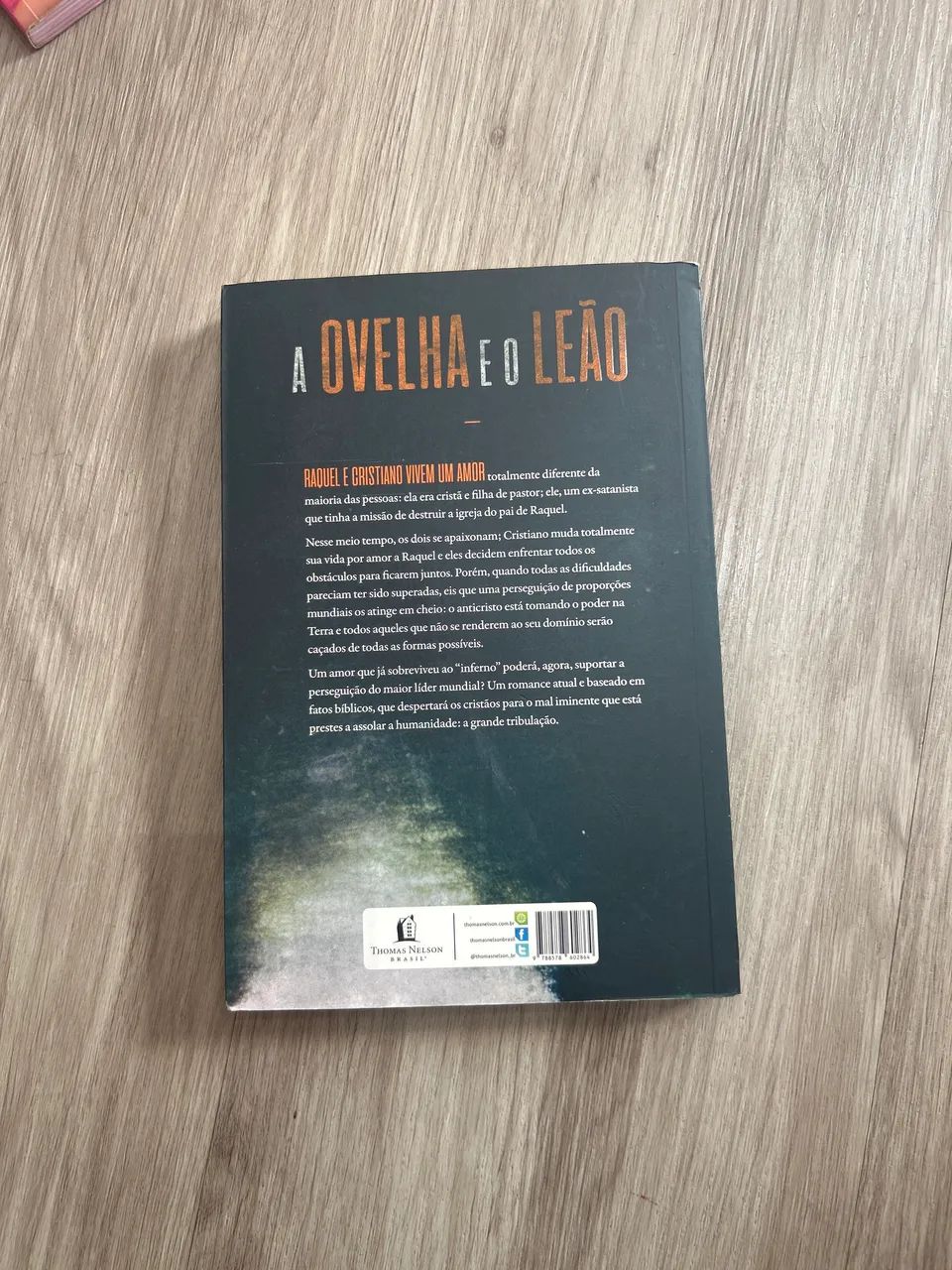 Livro A Ovelha e o Leão - Foto 3