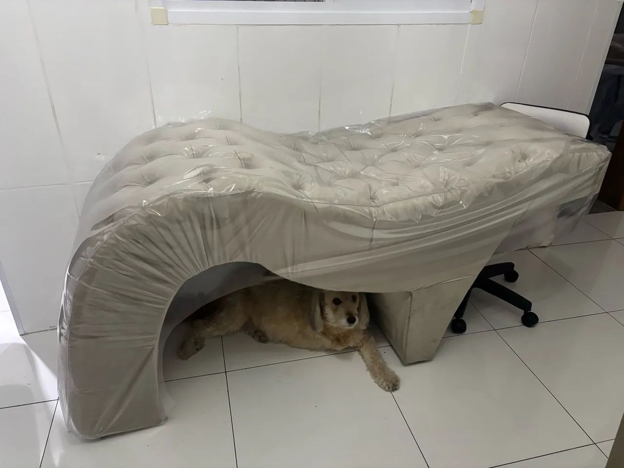 Maca Capitonê  - Foto 3