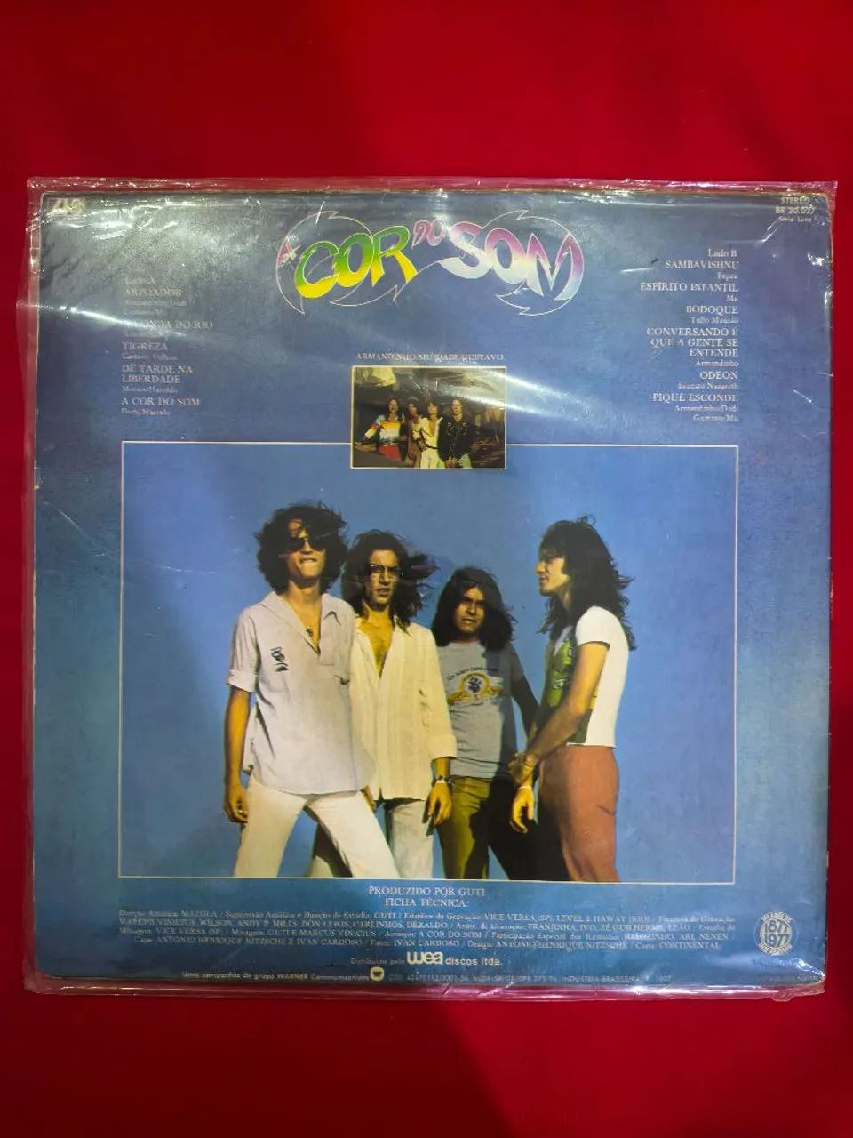 Lps Discos Vinis A Cor do Som 1977 e Frutificar - Foto 4