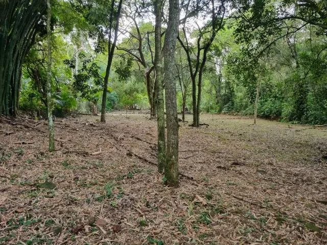 Terreno 3.009m² em Foz do Iguaçu - Foto 5
