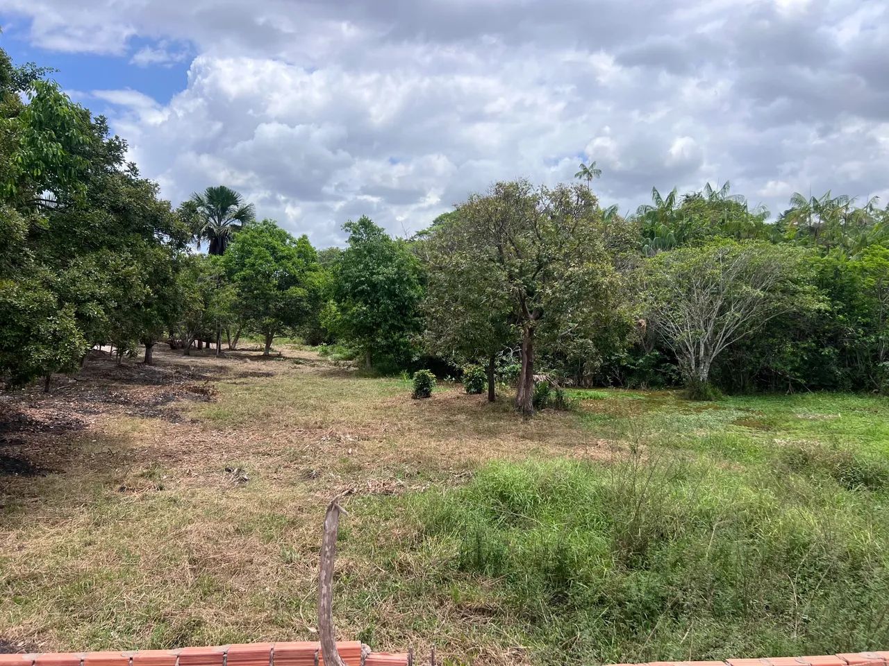 Sitio bem localizado  - Foto 3