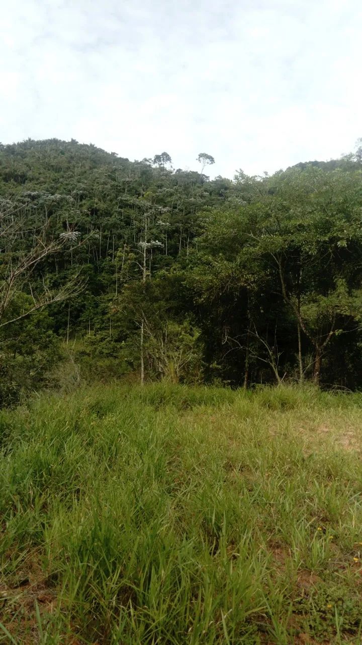 Foto - Engenheiro Paulo de Frontin - 