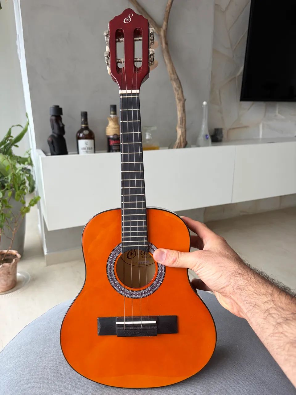 Cavaquinho Giannini Start CS-14N + Capa + Palhetas