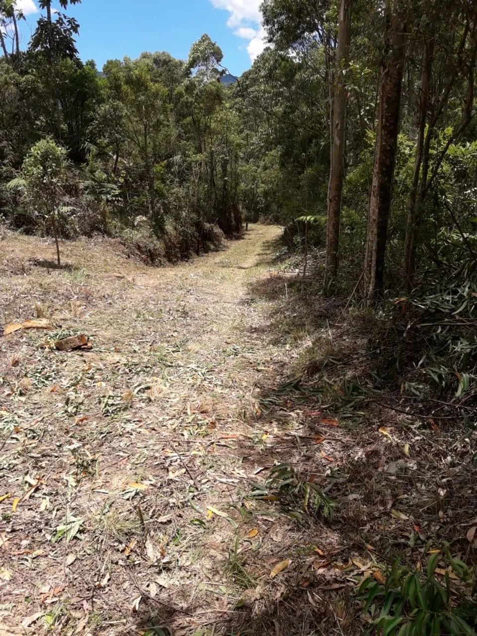Foto - São José dos Campos - São Francisco Xavier