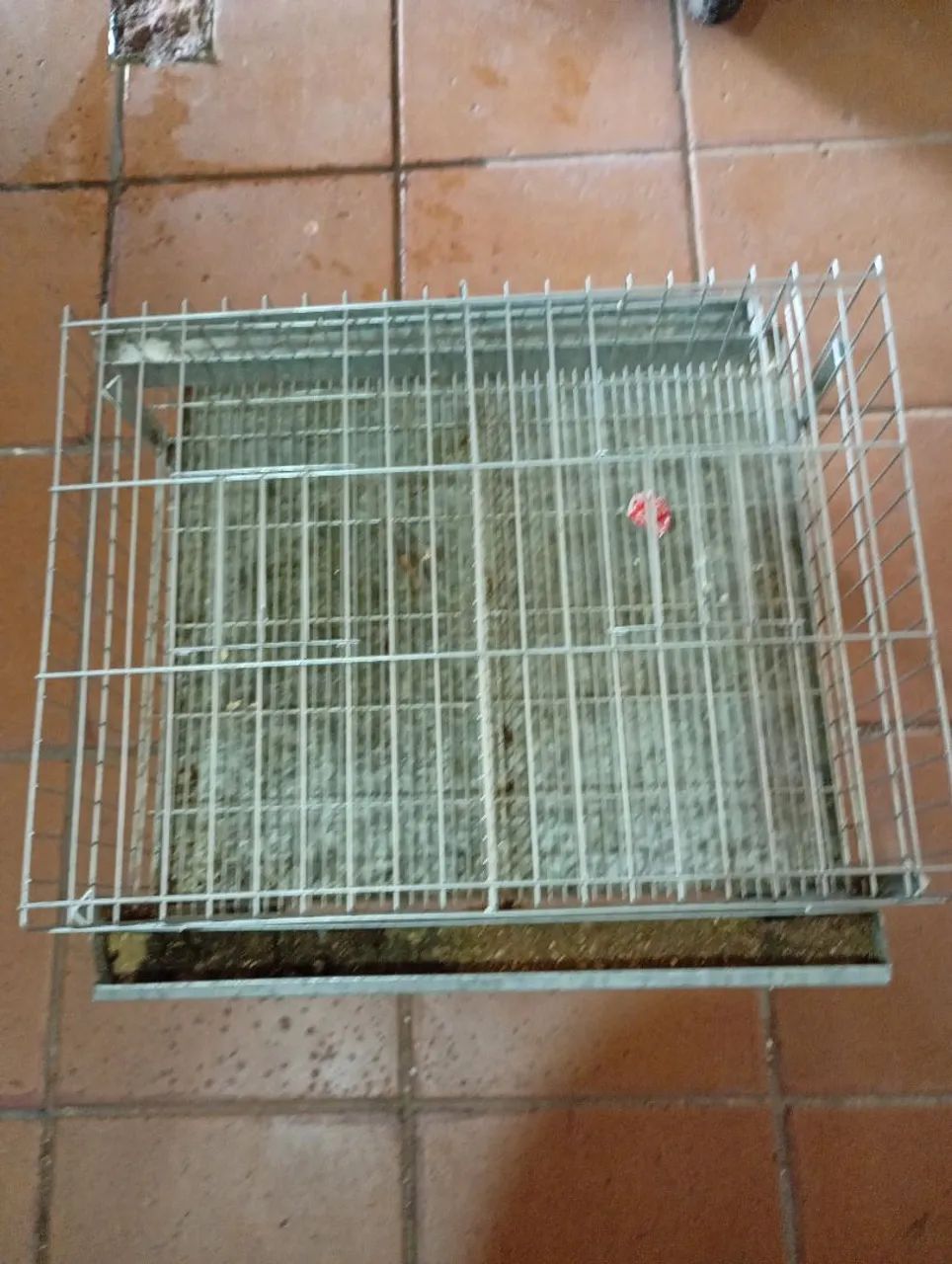 Gaiolas pra vários tipos de animais  - Foto 3