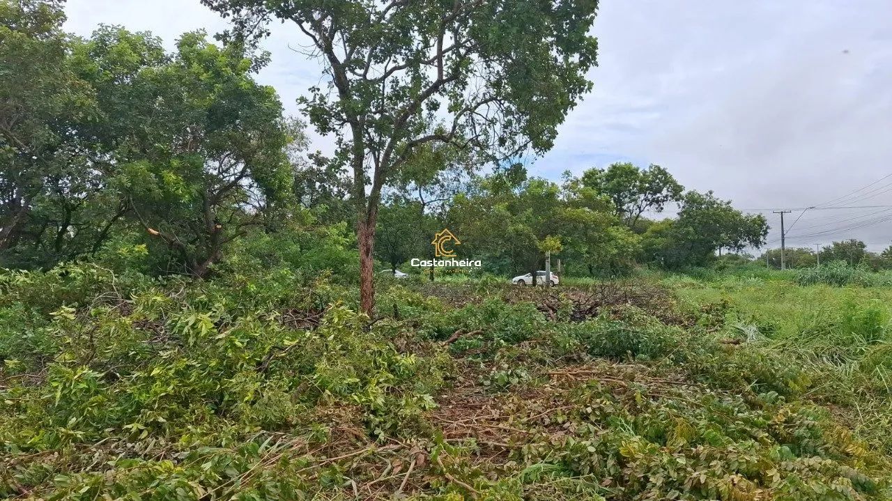 Lote - 660 m² - Plano Diretor Sul