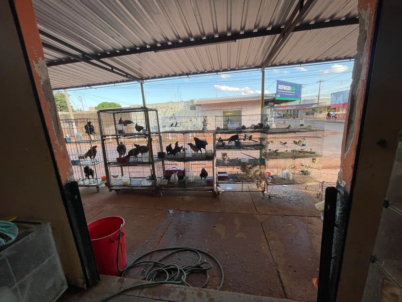 Agropecuária completa com tudo  - Foto 3