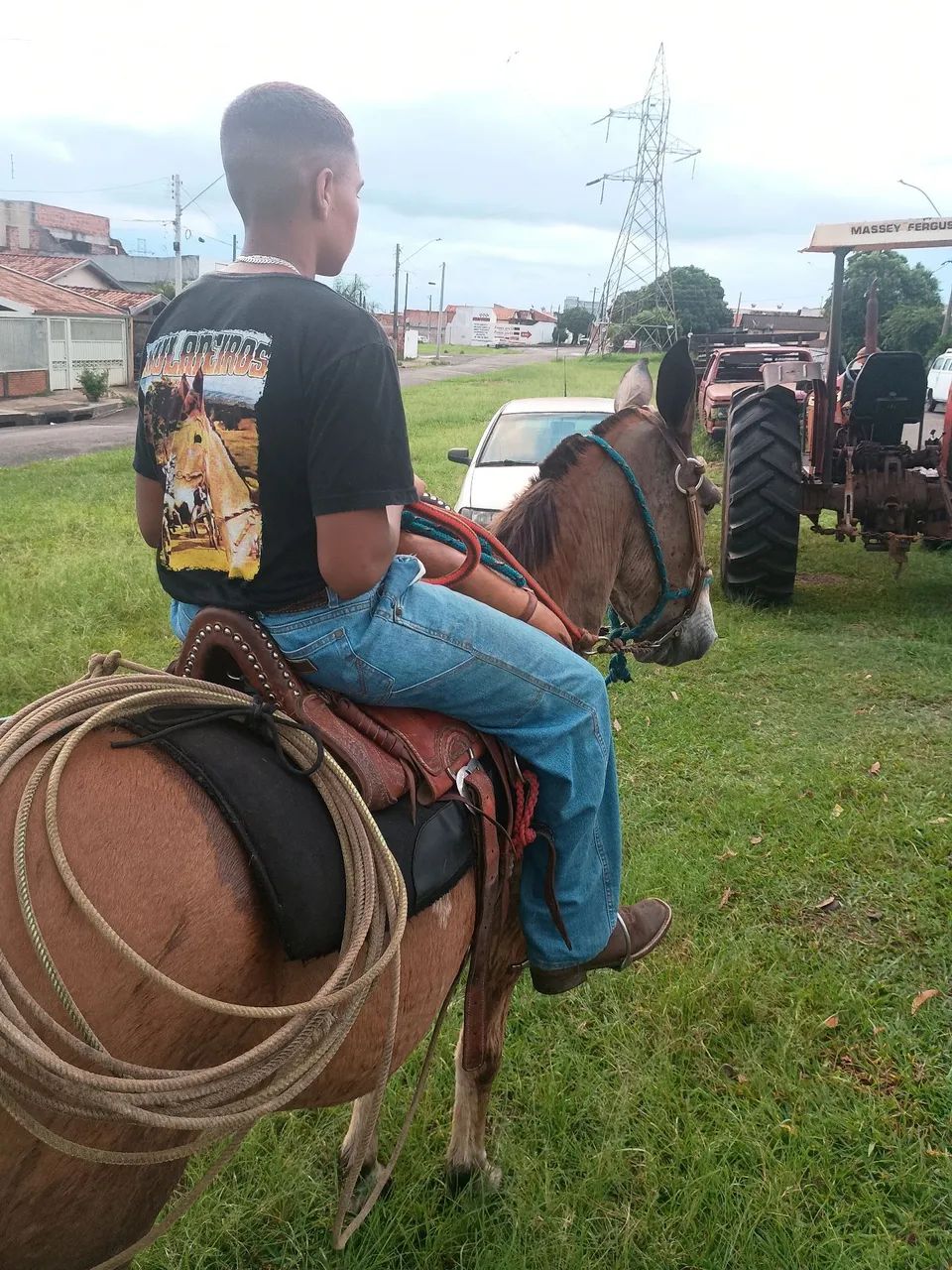 Burro manso para qualquer cavaleiro! - Foto 3