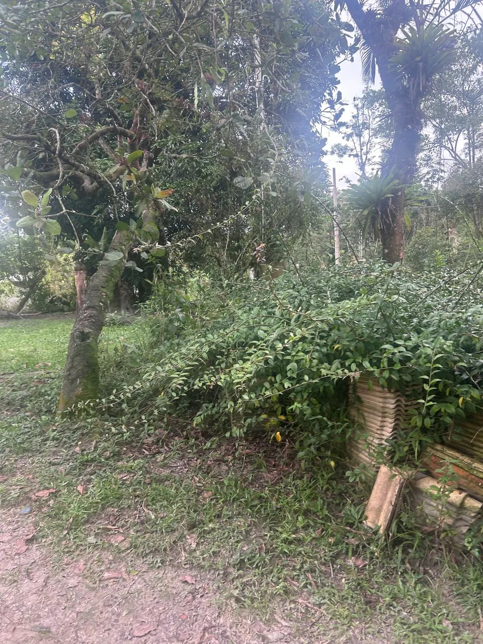 Terreno em Itanhaem  - Foto 3