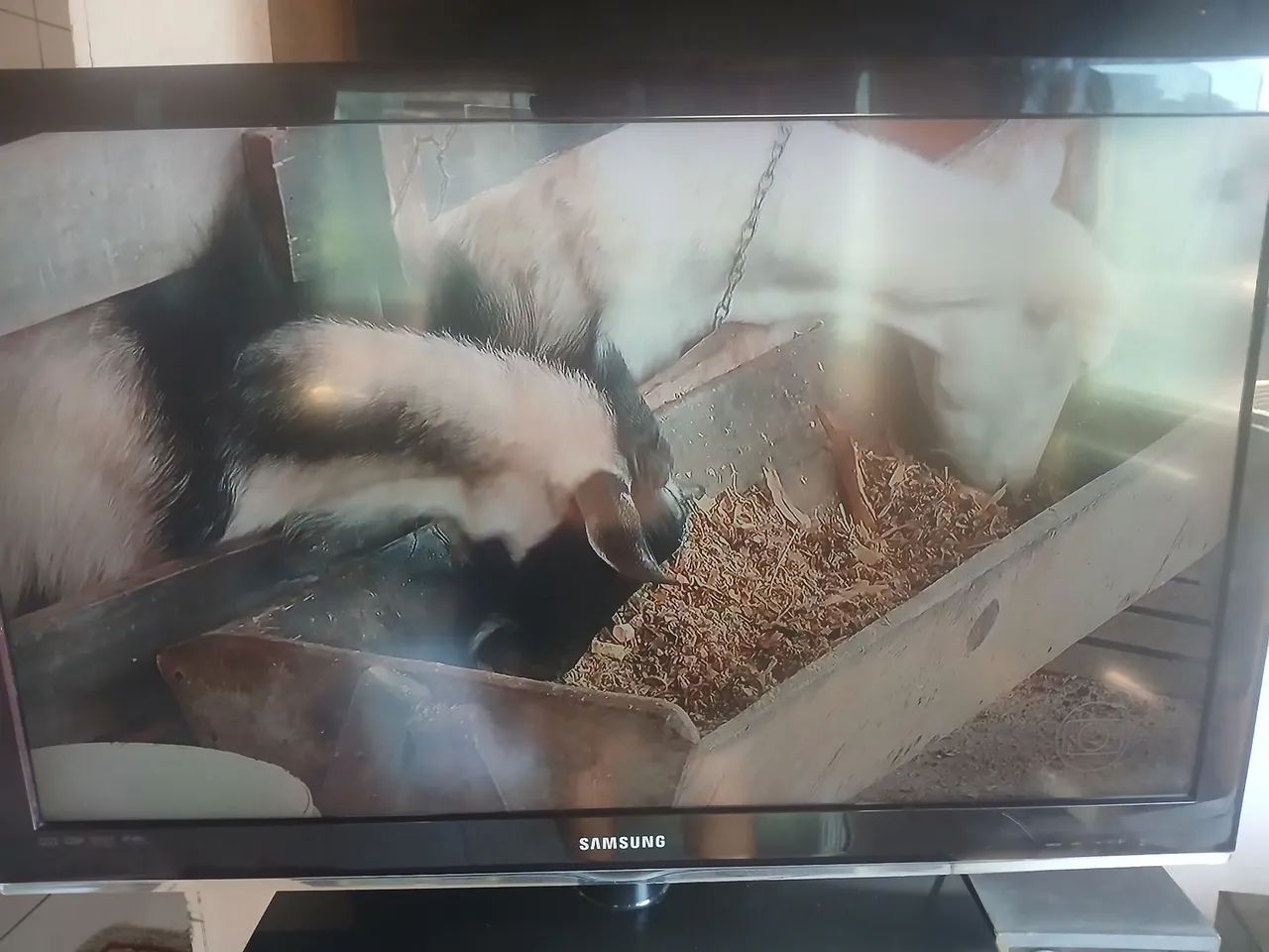 Vendo TV de 40" Samsung não é smart