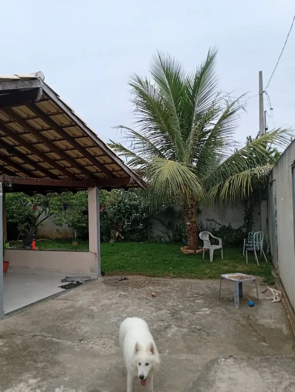 Casa em Itaipava praia vendo ou negócio em sitio perto da região   - Foto 4