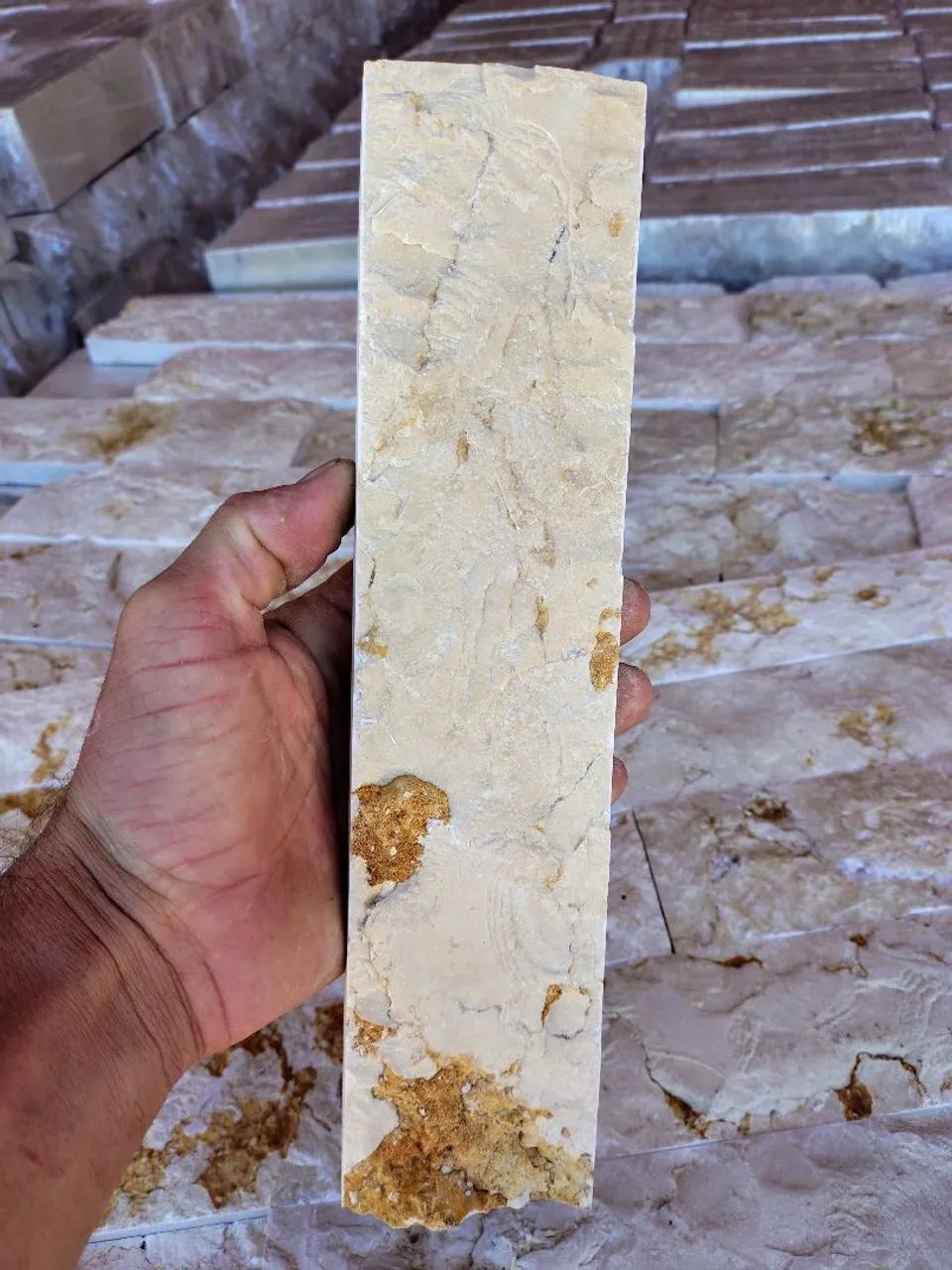 Travertino Cairo Importado 7/30 e 10/30