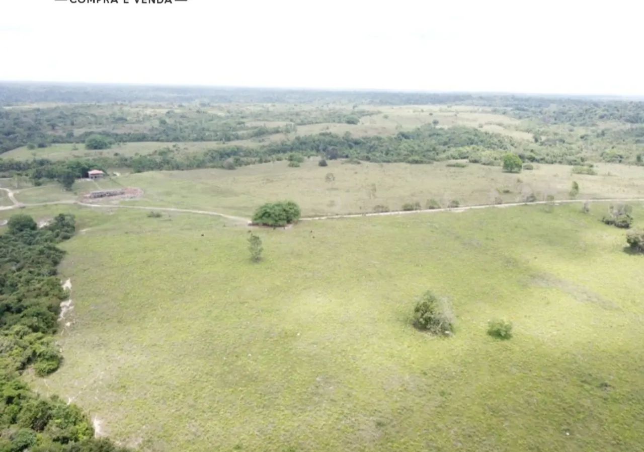 Vendo fazenda no Pará  - Foto 5
