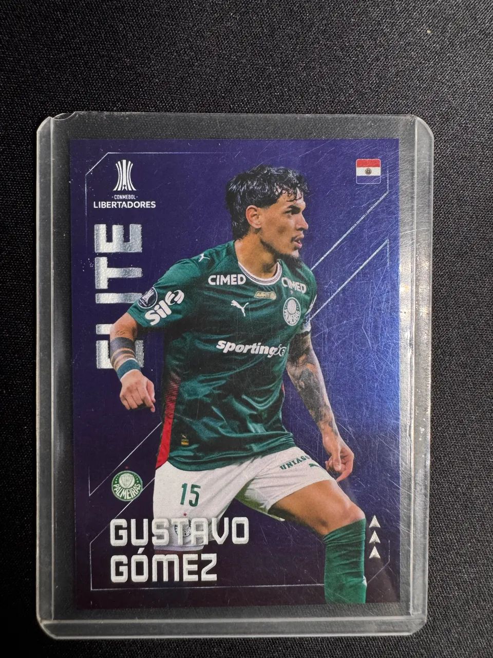 Card Libertadores - Gustavo Gomez 