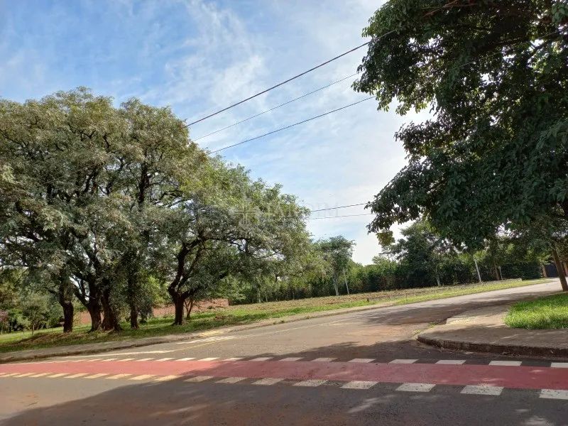 TERRENO / SANTA RITA - Foto 5