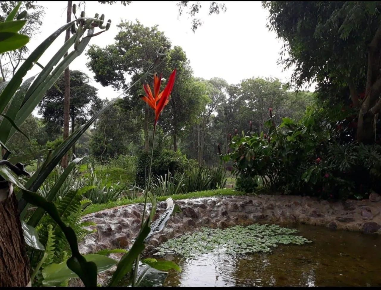 TERRENO EM CHÁCARA A 11 KM DO CENTRO DE CASCAVEL - PR ?<br> - Foto 4