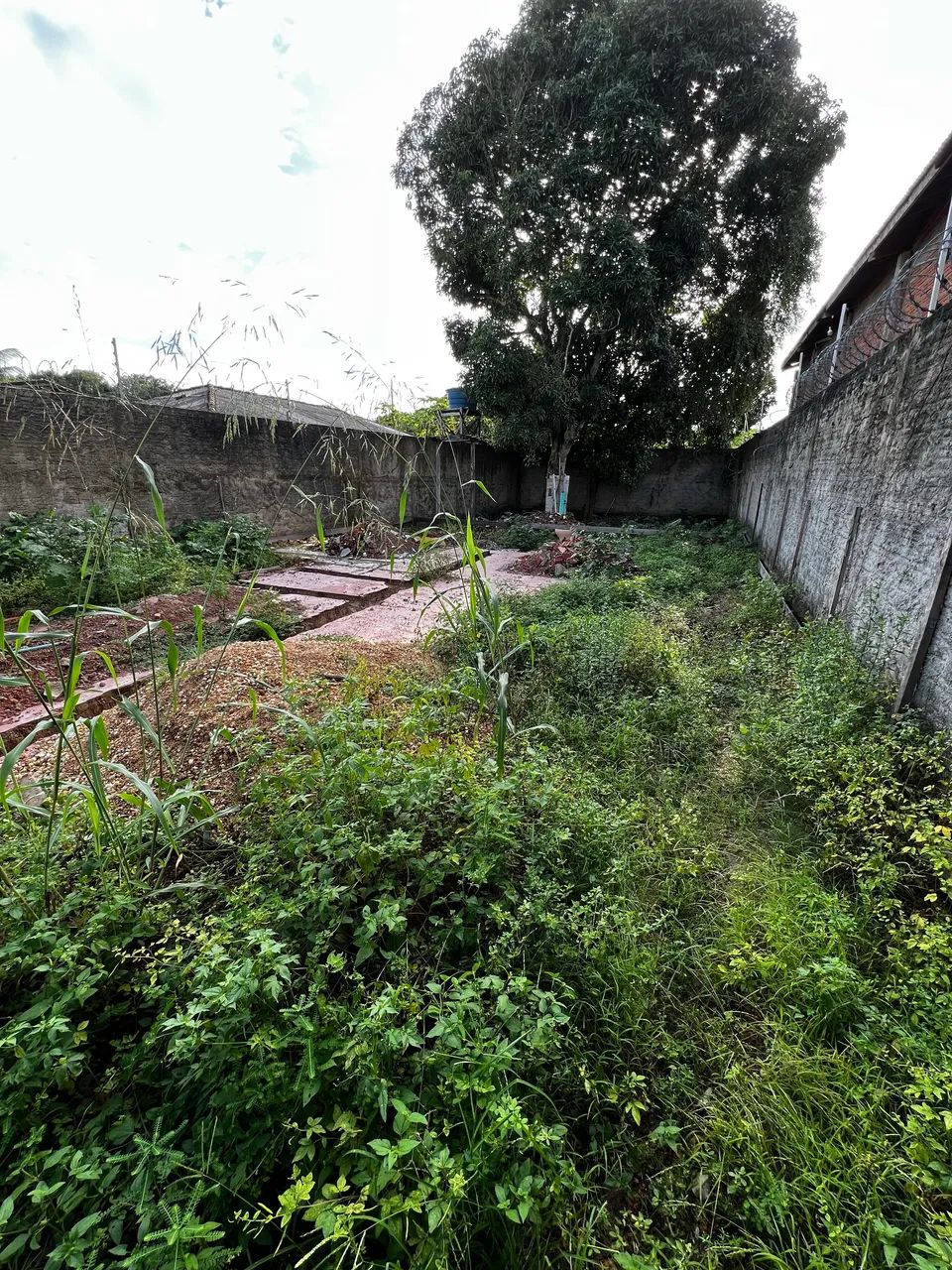 Vendo Terreno Não Titulado Barato - Foto 5