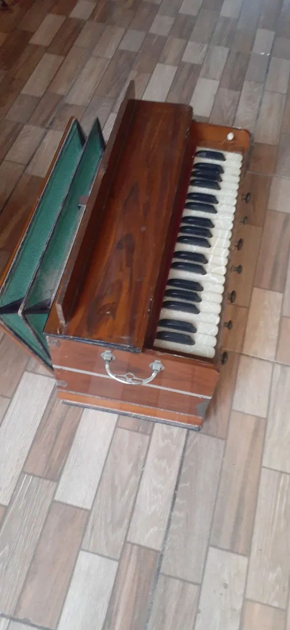 Harmonium bina delux - Foto 5