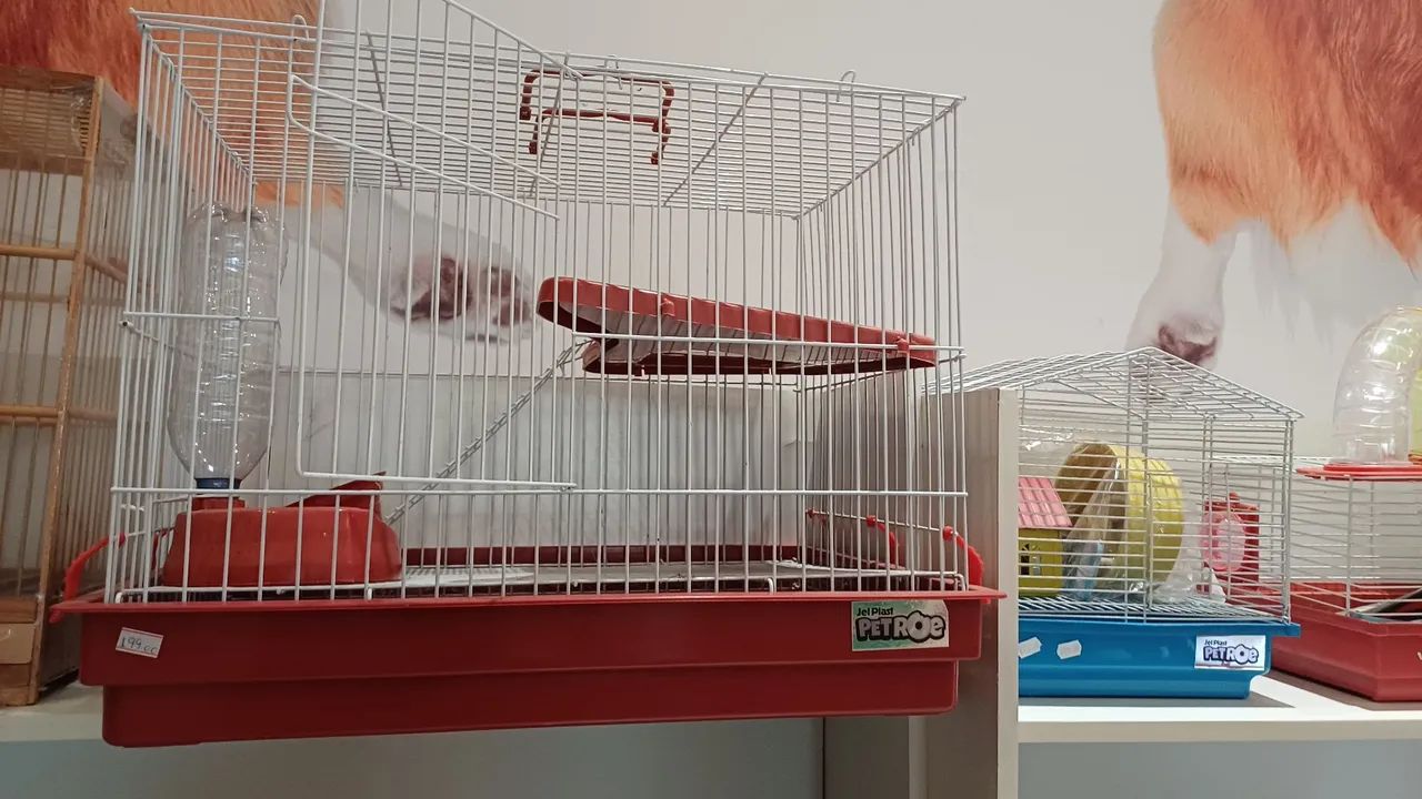 Gaiolas - Foto 2