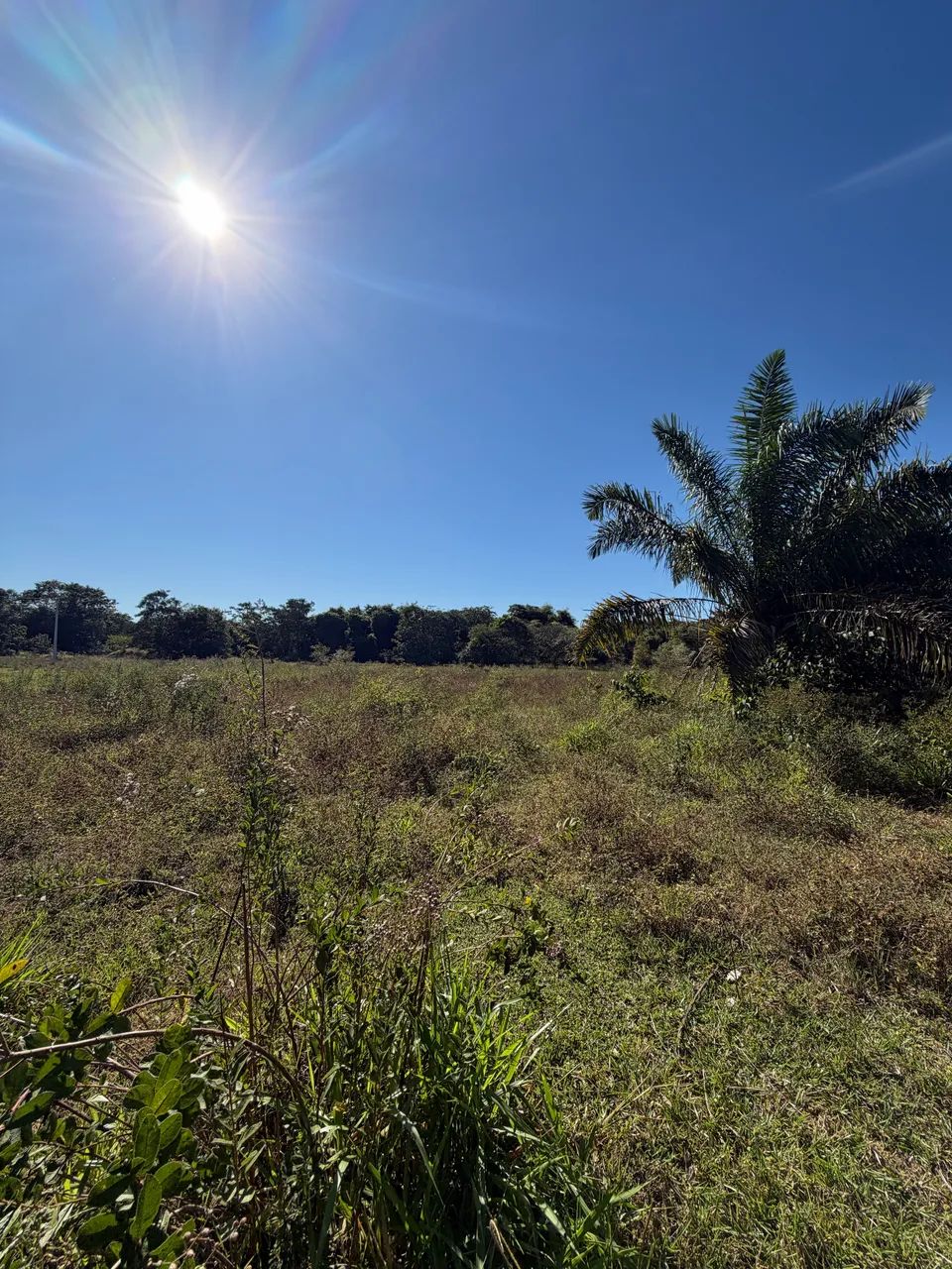 Vendo chácara 4 hectares, próximo a Primavera do Leste. - Foto 5