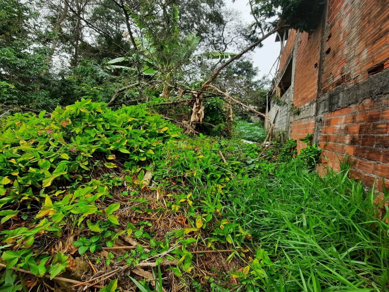 Terreno no Bairro Eldorado em São Paulo - Foto 3