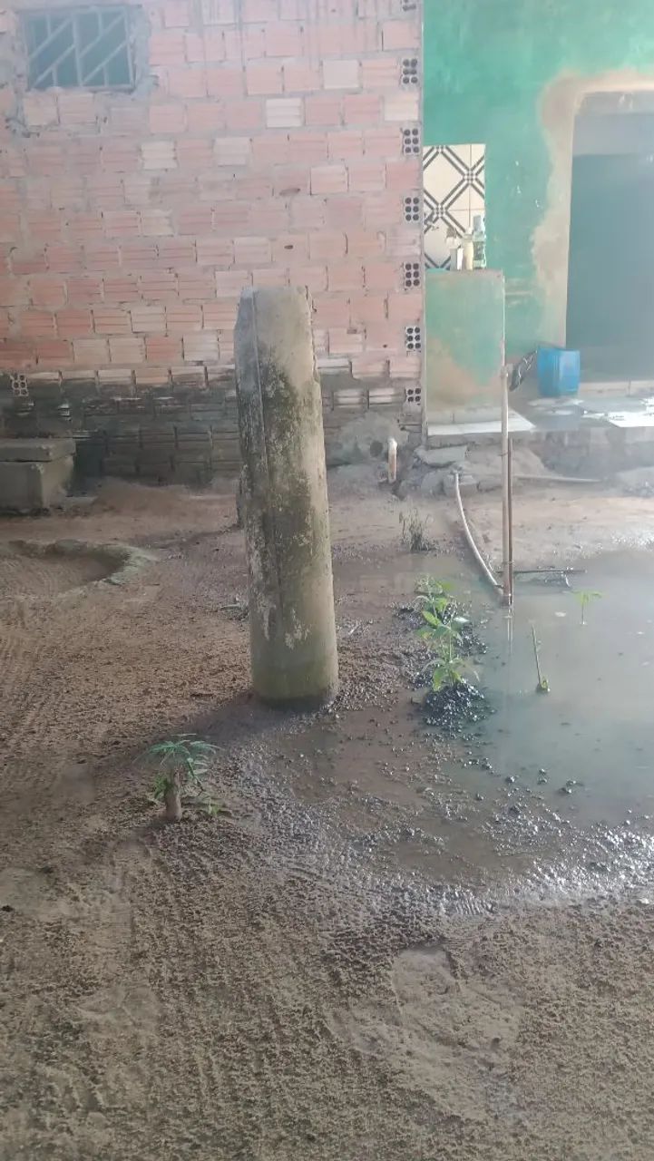 Foto - Boa Vista - Professora Araceli Souto Maior
