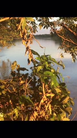 Chácara Estrada Velha da Guia Beira Rio Cuiaba - Foto 2