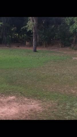 Chácara Estrada Velha da Guia Beira Rio Cuiaba - Foto 3