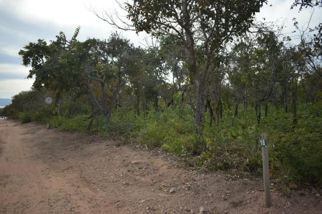 Lote Condomínio Recanto dos Piquizeiros no Manço - Foto 6