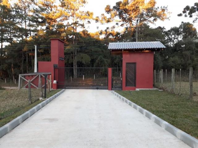 Chácara à venda em Rio vermelho, Campo alegre cod:V01902 - Foto 8