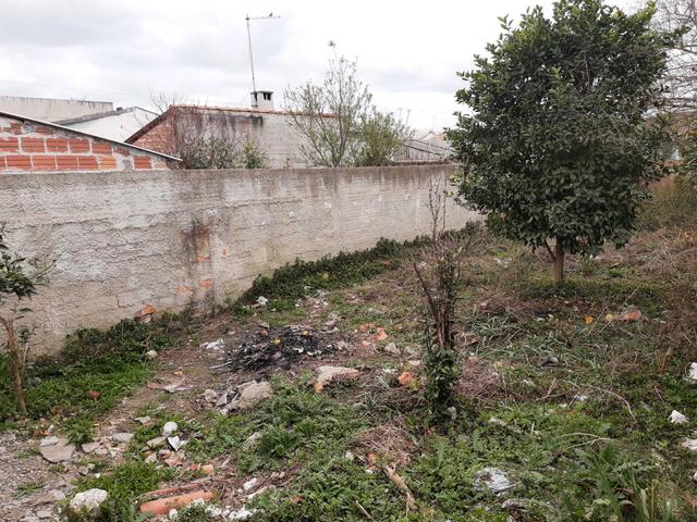 Casa, Jardim - Foto 14