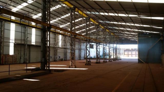 Loja comercial para alugar em Zona industrial, Sertaozinho cod:L18898 - Foto 6