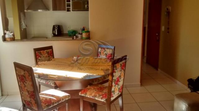 Apartamento à venda com 2 dormitórios em Colina verde, Jaboticabal cod:V3266 - Foto 8