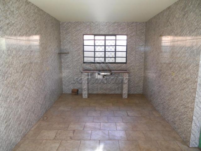 Casa para alugar com 2 dormitórios em Parque jaqueline, Jaboticabal cod:L4279 - Foto 9