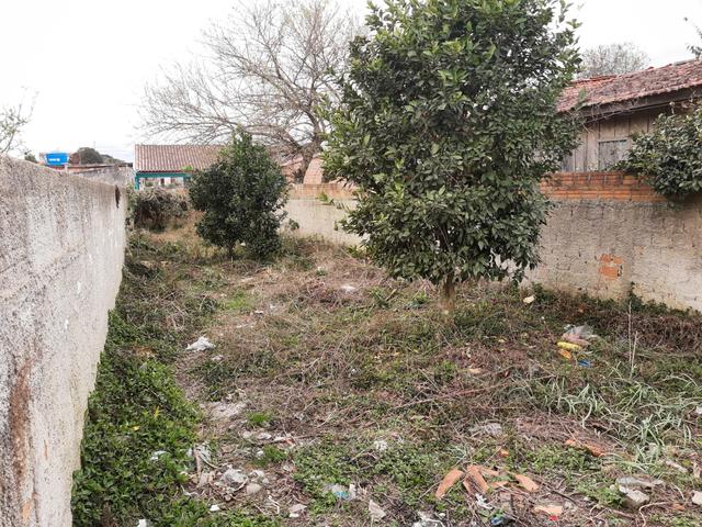 Casa, Jardim - Foto 16
