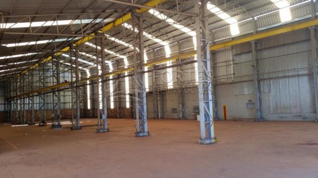 Loja comercial para alugar em Zona industrial, Sertaozinho cod:L18898 - Foto 9