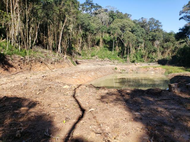 Chácara Agudos do Sul - 50 mts da Br c/ Tanque e rio - Foto 10