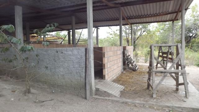 Chacara rio paranã - Foto 14
