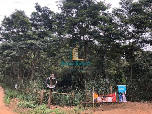 Chácara à venda, 4000 m² por r$ 120.000,00 - 20km de teófilo otoni - teófilo otoni/mg - Foto 11