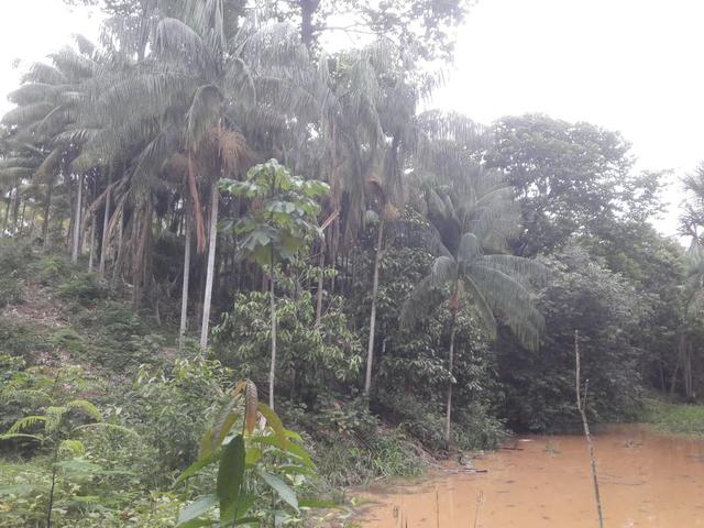 Venda de terreno - Foto 7