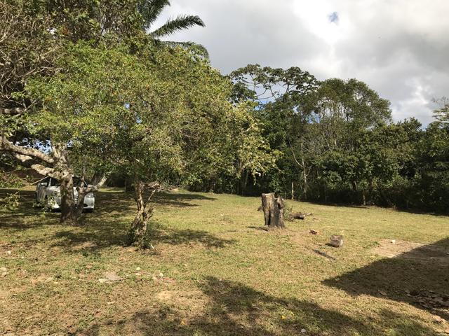 Aluga-se granja em aldeia km 9,5 - Foto 6