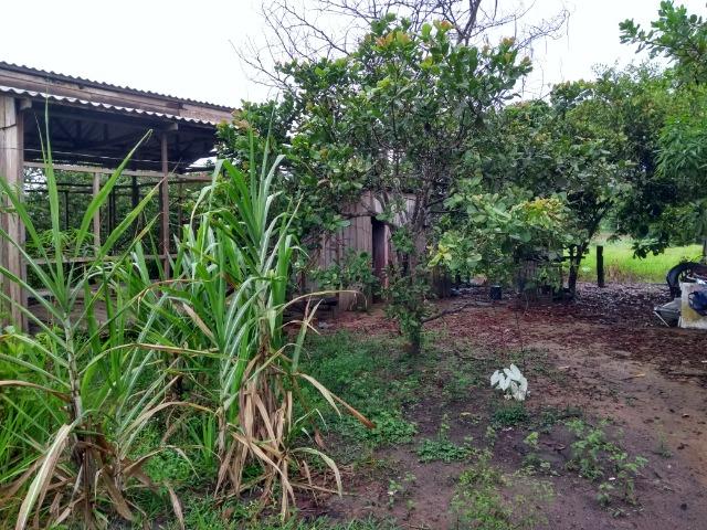 Chácara - Foto 3